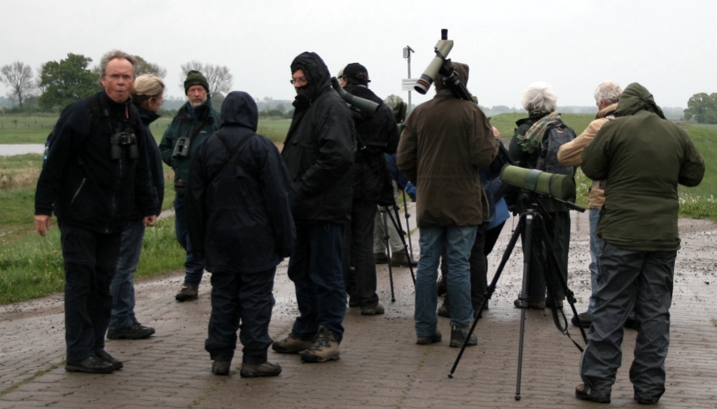 VWG vogelreis Oost Duitsland mei 2010 661